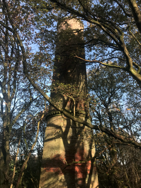 Rapunzel's Tower in Clifton Country Park walk your mischievous dog in Manchester - Rapunzel's Tower in Clifton Country Park